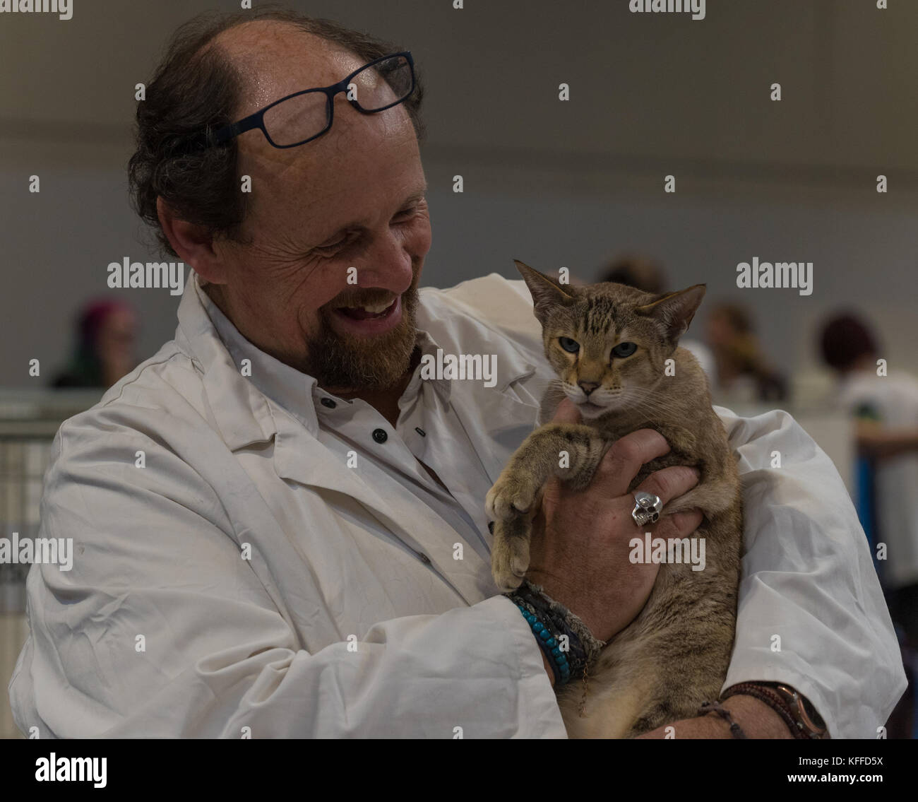 Birmingham, UK. 28th Oct, 2017. NEC Birmingham. 41st GCCF Supreme Cat Show'.Judges making their decision from this years s.  Credit: charlie bryan/Alamy Live News Stock Photo