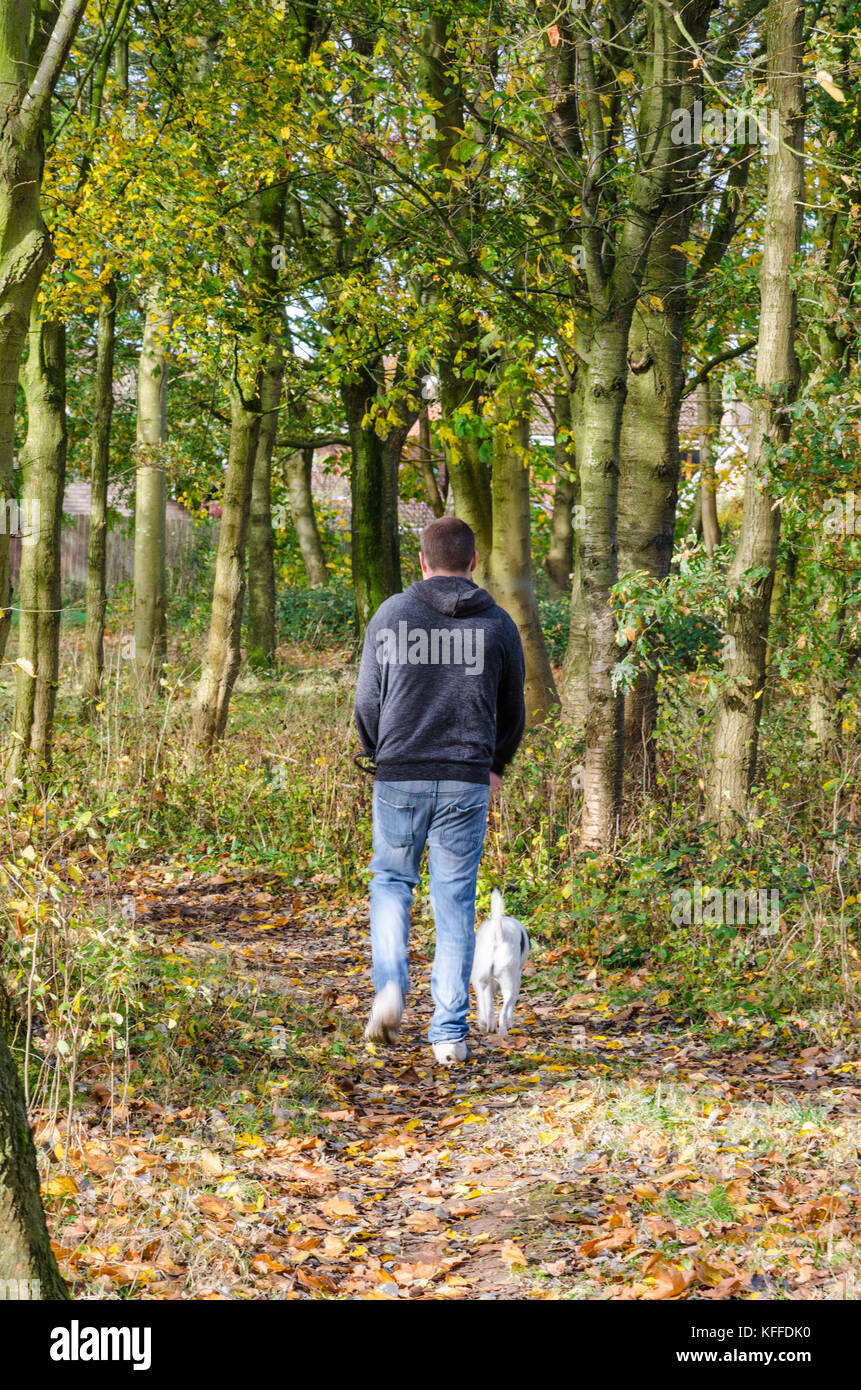 A man walks his dog through a woods during autumn Stock Photo - Alamy