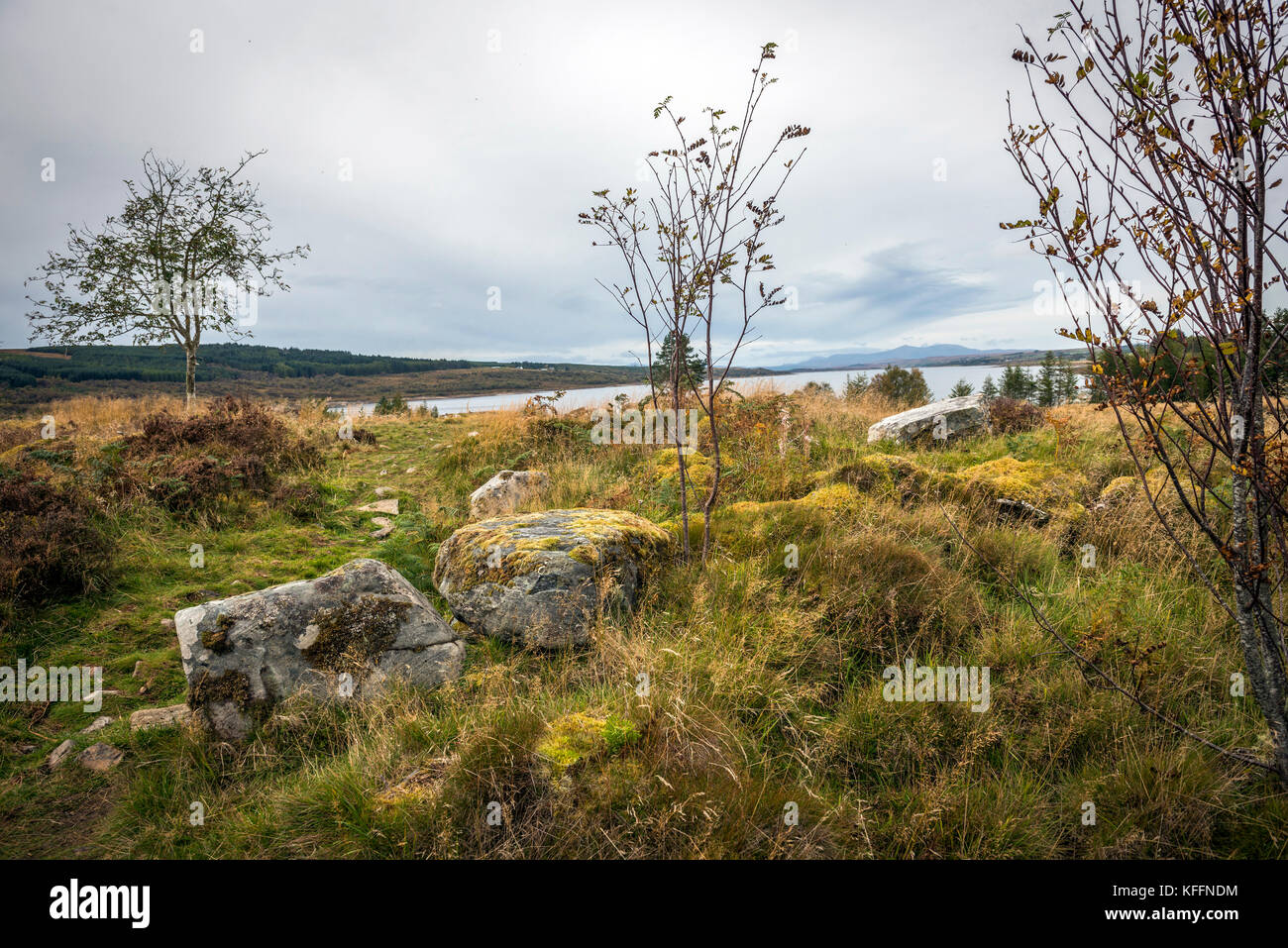 The ruined Ferry Wood Iron Age Broch overlooking Loch Shin near Lairg, Scottish highlands, UK Stock Photo
