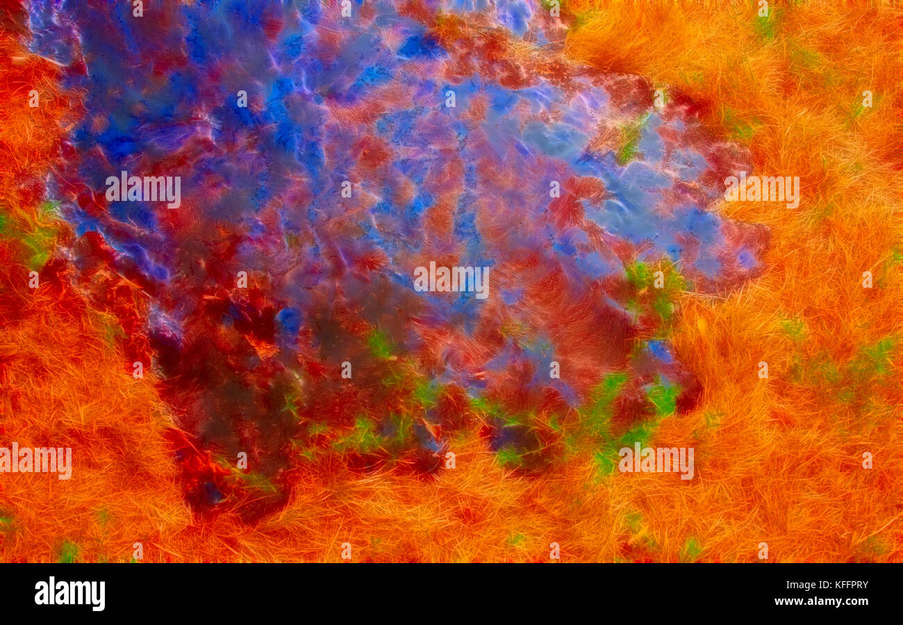 Abstract fractal light background. Generalization images of nature