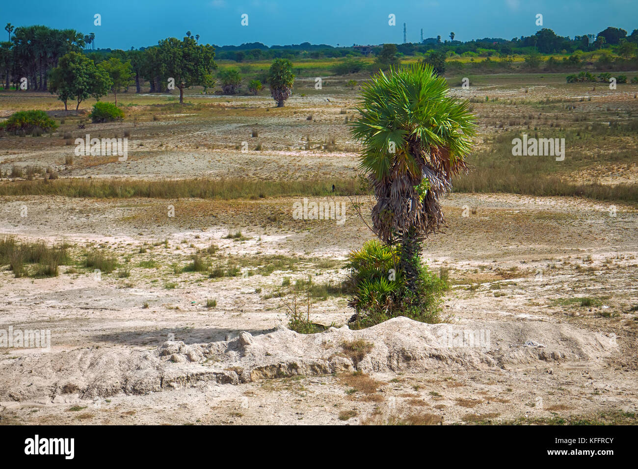 Alkali soil hires stock photography and images Alamy