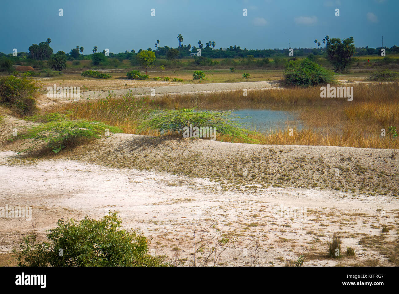 Indian Soils, edaphology, soil science. Salinity (saline soils, kallar
