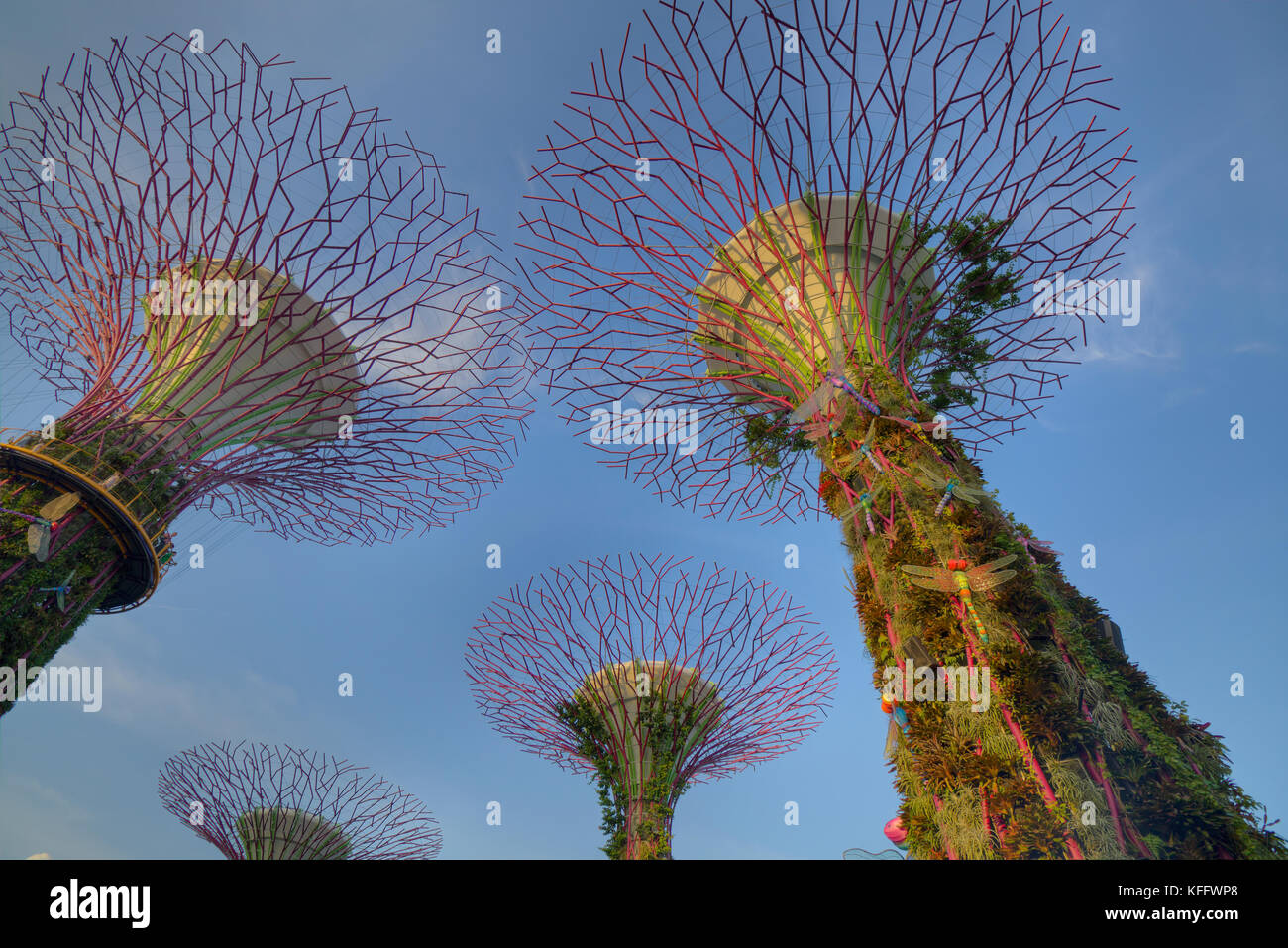 Gardens by the bay singapore hi-res stock photography and images - Alamy