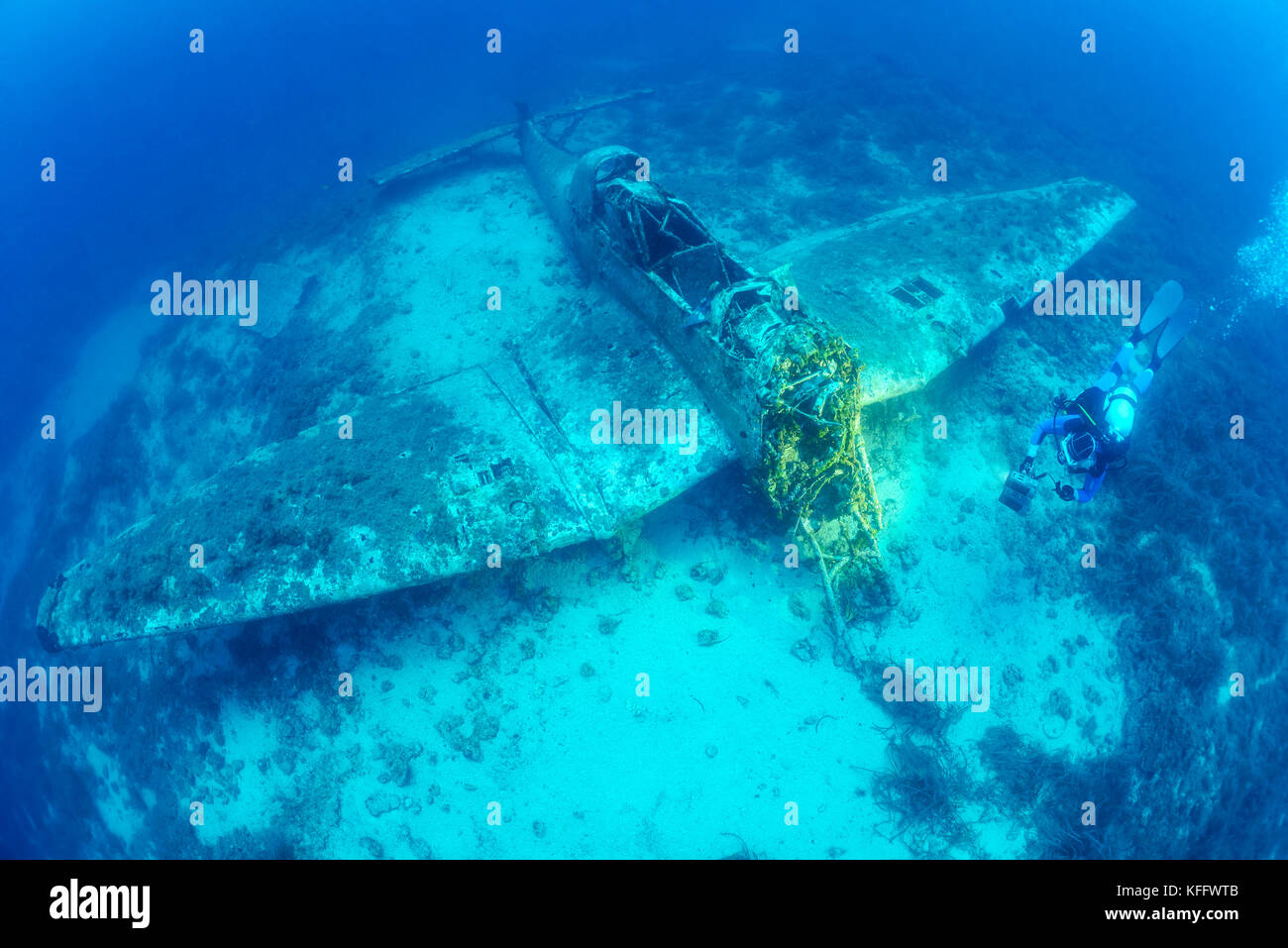 Wreck of a airplane Stuka, from the 2nd world war and scuba diver, Adriatic Sea, Mediterranean Sea, South of Island Zirja, Dalmatia, Croatia Stock Photo