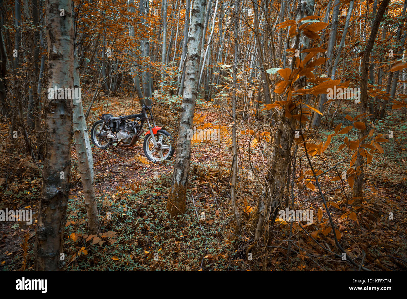 a wrecked and abandoned motor bike in a clearing in woods at autumn Stock Photo