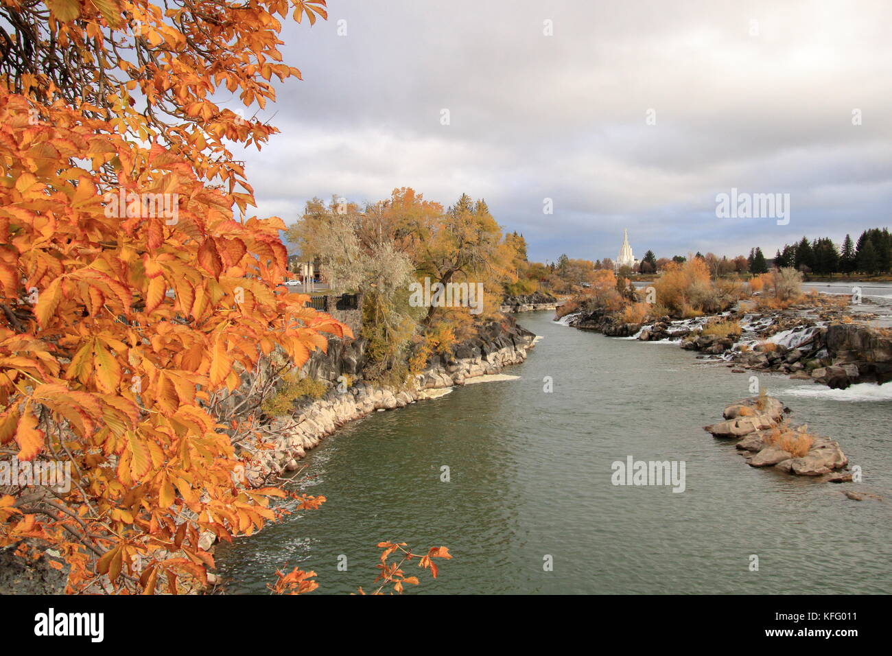 Fall Colors Along the Banks of the Snake River viewed from the Broadway