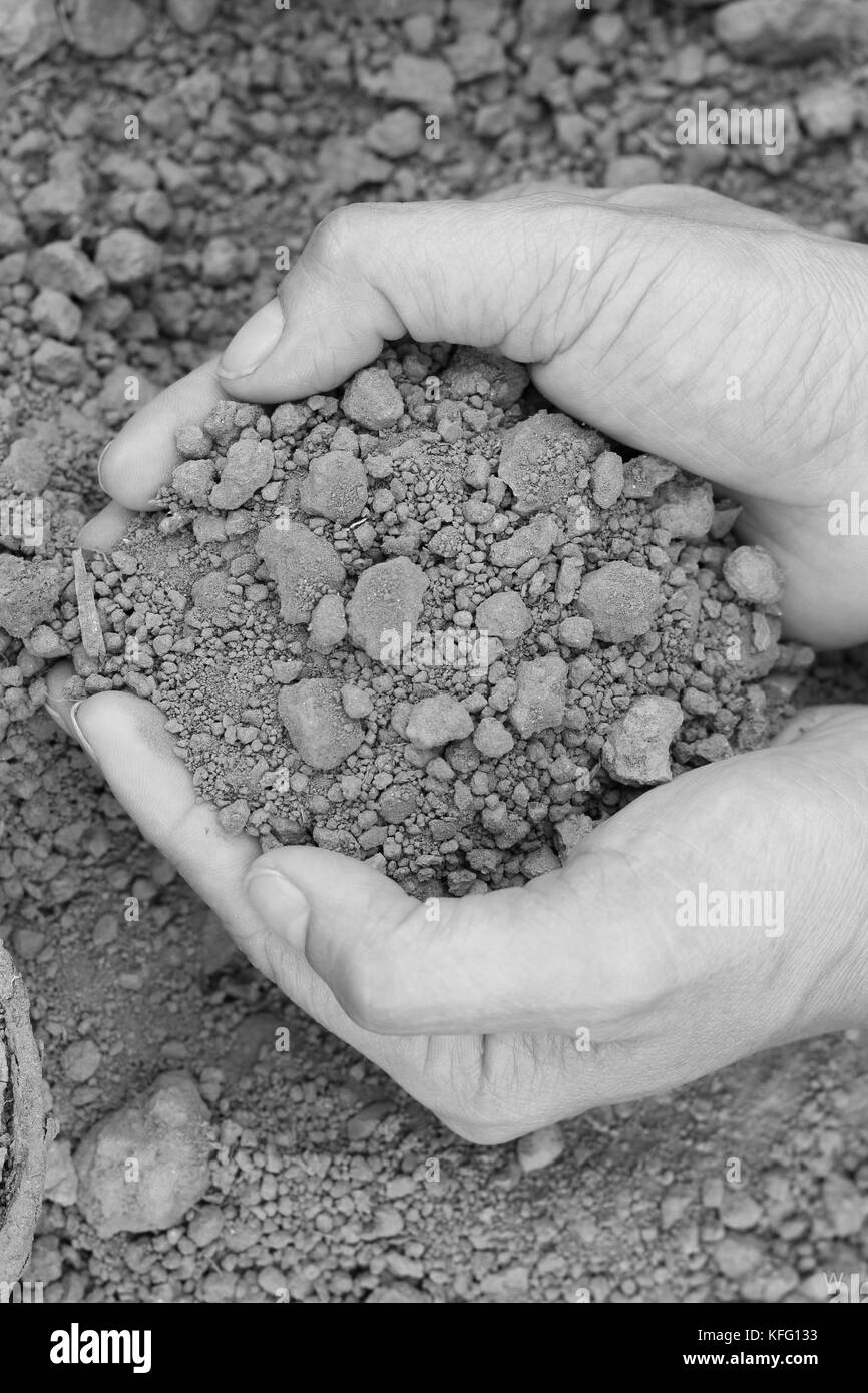 Soil detail Black and White Stock Photos & Images - Alamy