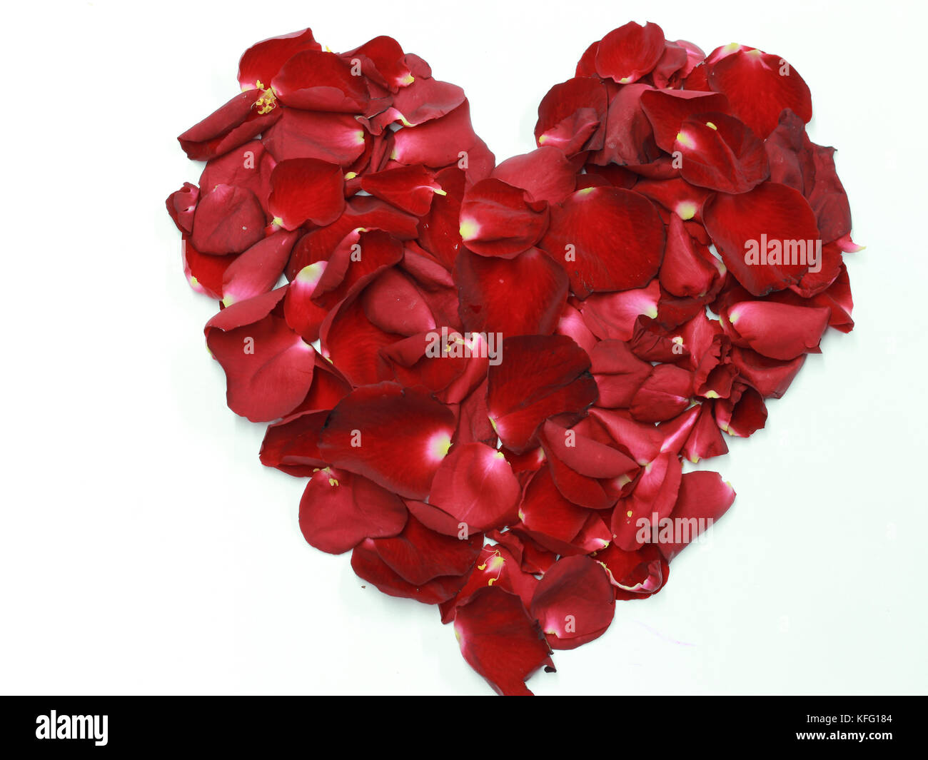 Heart shaped rose petals Stock Photo - Alamy