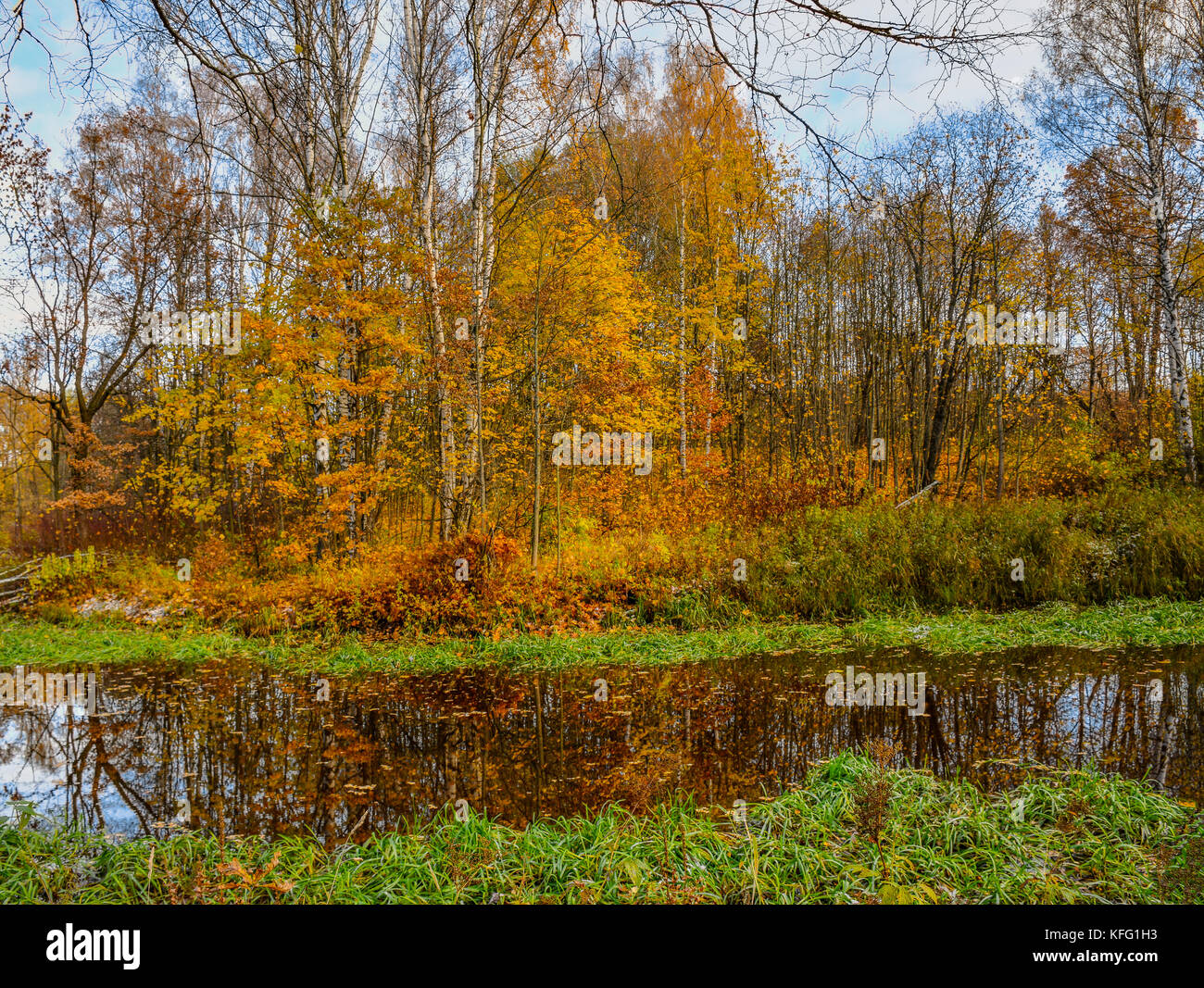 Golden autumn in the forest Park Stock Photo - Alamy