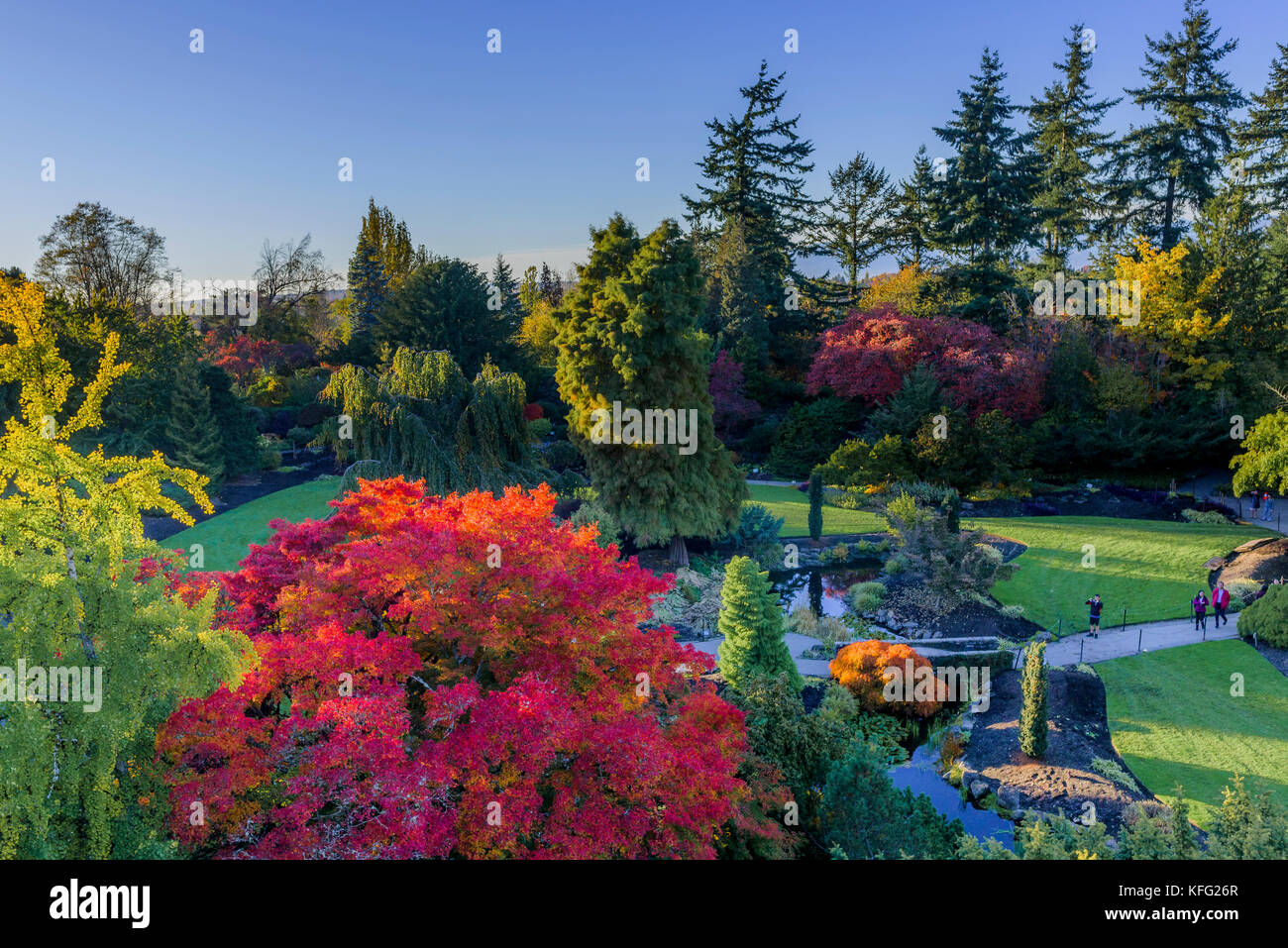 Fall colour, the Quarry Garden, Queen Elizabeth Park, Vancouver British Columbia, Canada Stock Photo