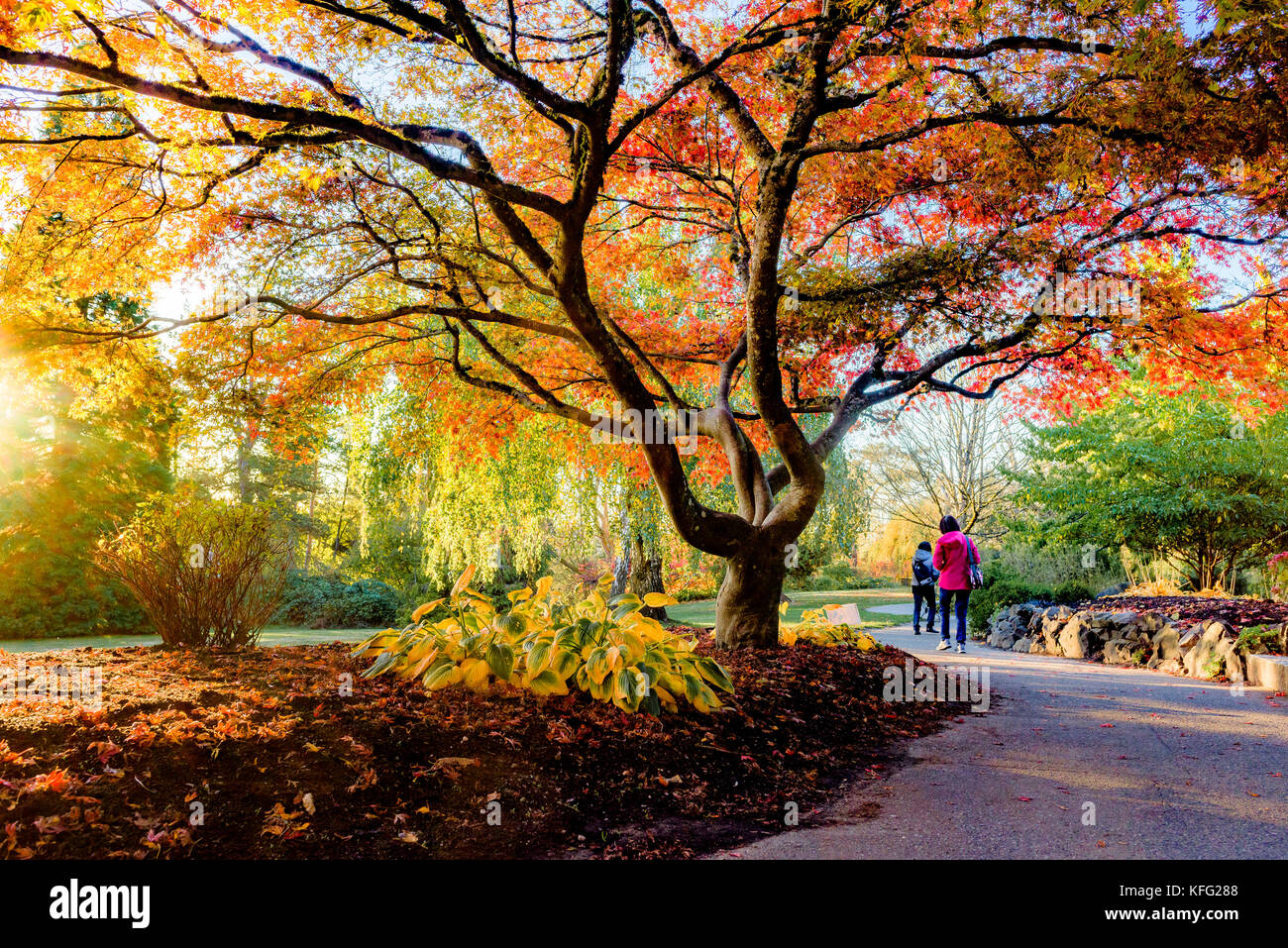 Queen Elizabeth Park, Vancouver British Columbia, Canada Stock Photo
