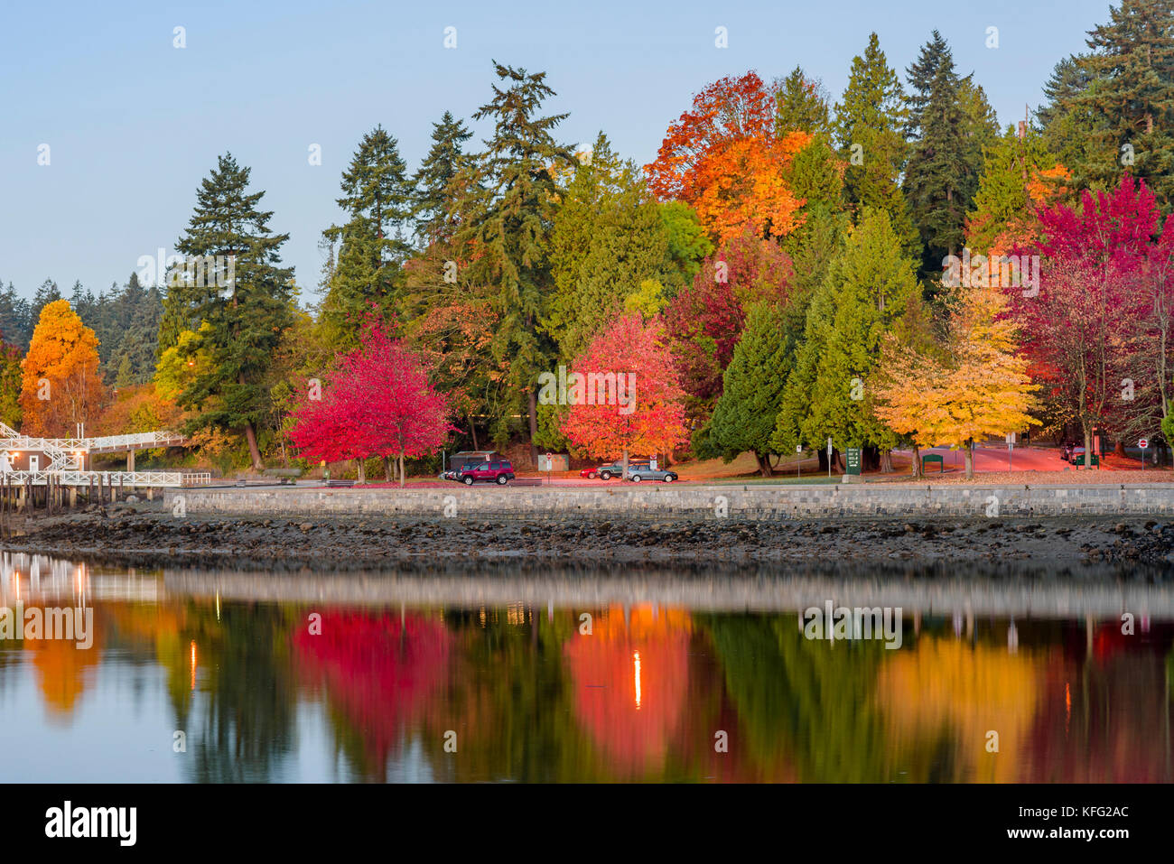Fall colour, Stanley Park, Coal Harbour, Vancouver, British Columbia, Canada. Stock Photo