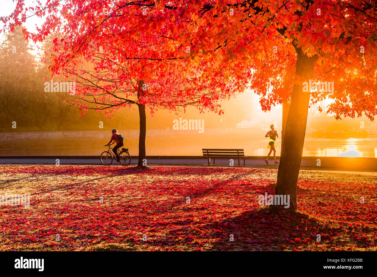 Jogger at sunrise hi-res stock photography and images - Alamy