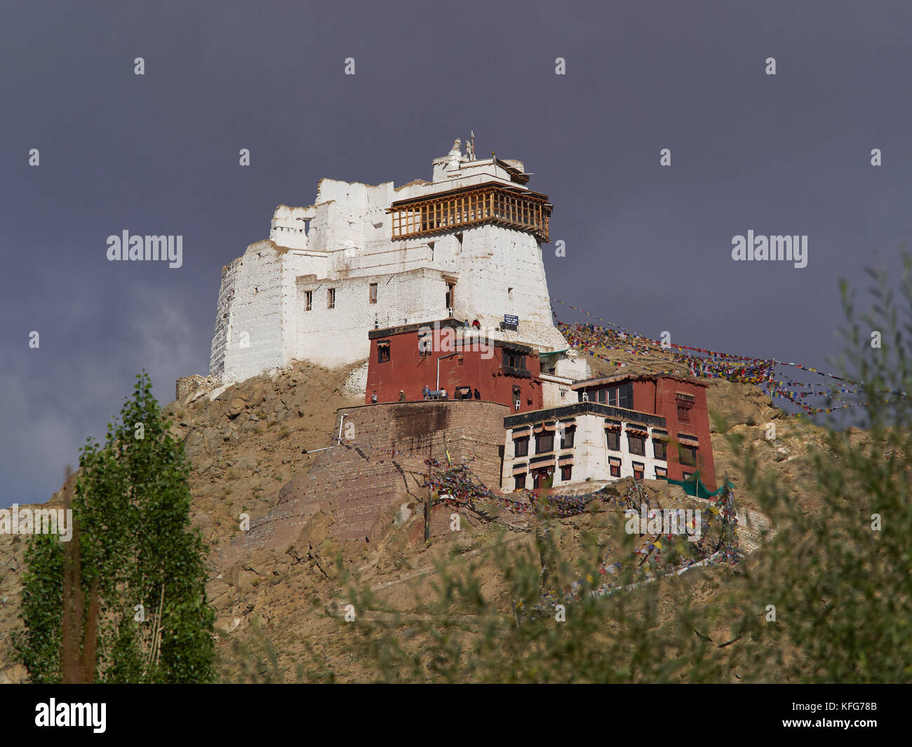Buddhist monastery Namgyal Tseemo close up: white and burgundy gong buildings stand on top of a cliff among the trees, Ladakh, Northern India. Stock Photo