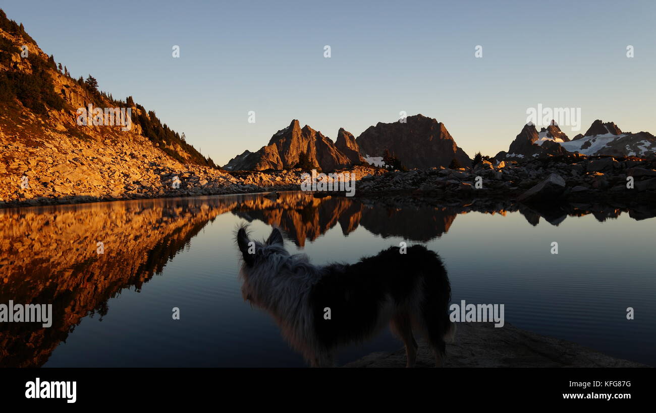 Hiking in the Pacific Northwest, Washington State Stock Photo - Alamy