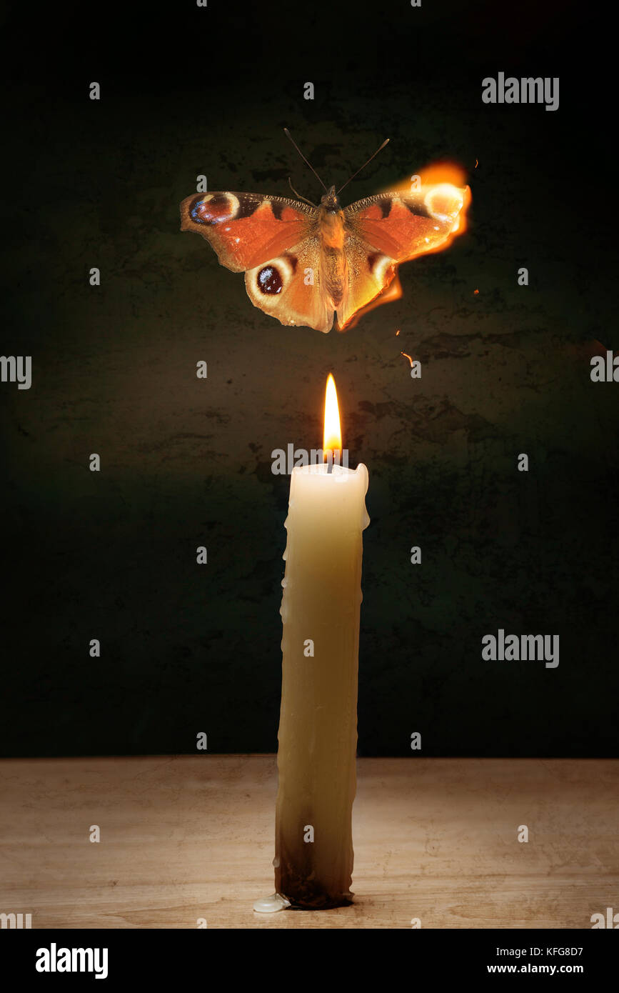 Illustration of butterfly burning above dangerous fire of candle Stock Photo Alamy