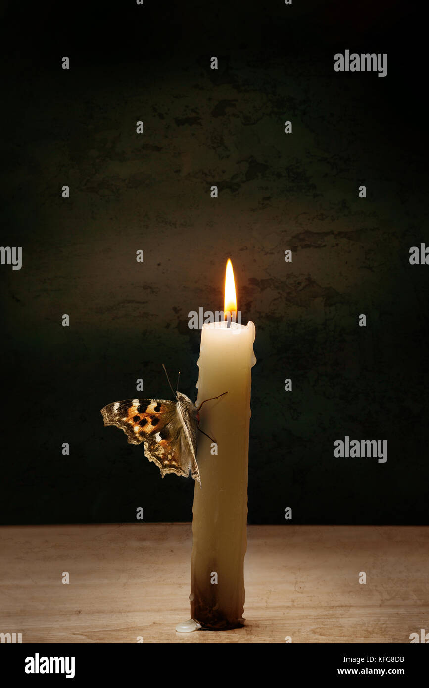 Illustration of butterfly sitting close to dangerous candle fire Stock