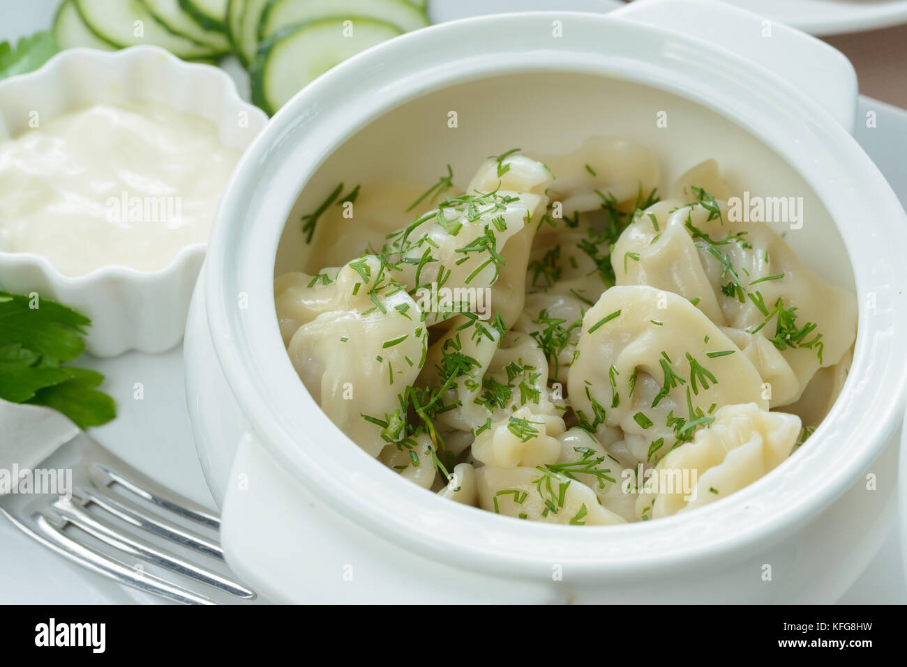 Meat dumplings with dill and sauce garnished with sour cream and cucumber slices Stock Photo
