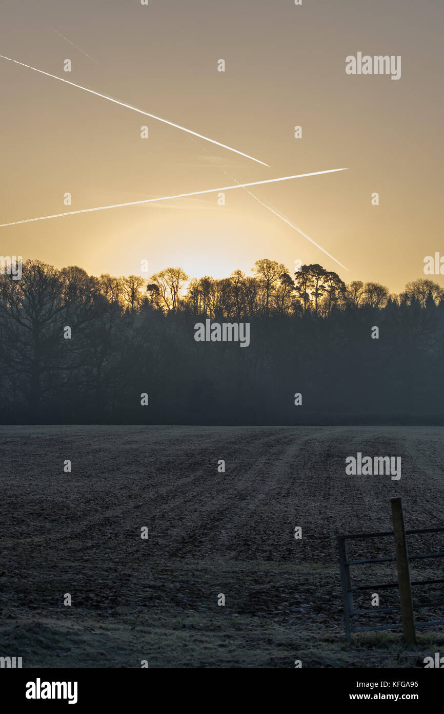 Vapour trails in a winters sky over a frosty Cotswold field Stock Photo