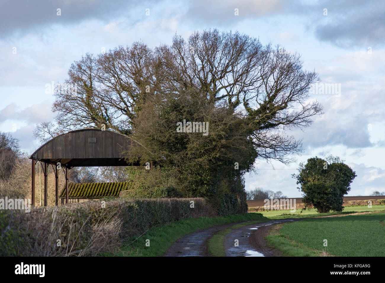 Typical Cotswold scene between winter and spring Stock Photo
