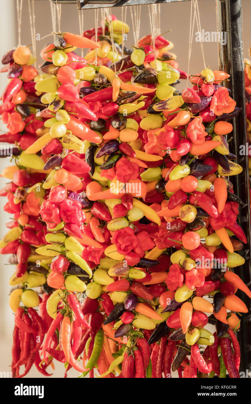 Various peppers hanging on sale Stock Photo Alamy