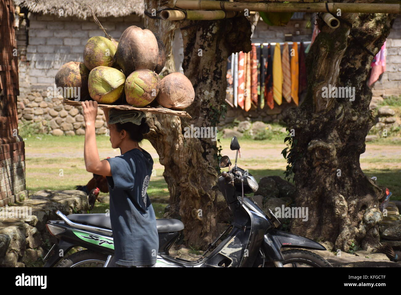 Balinese women carry coconuts on a tray on the head in Tenganan Aga aboriginal village in Bali Stock Photo