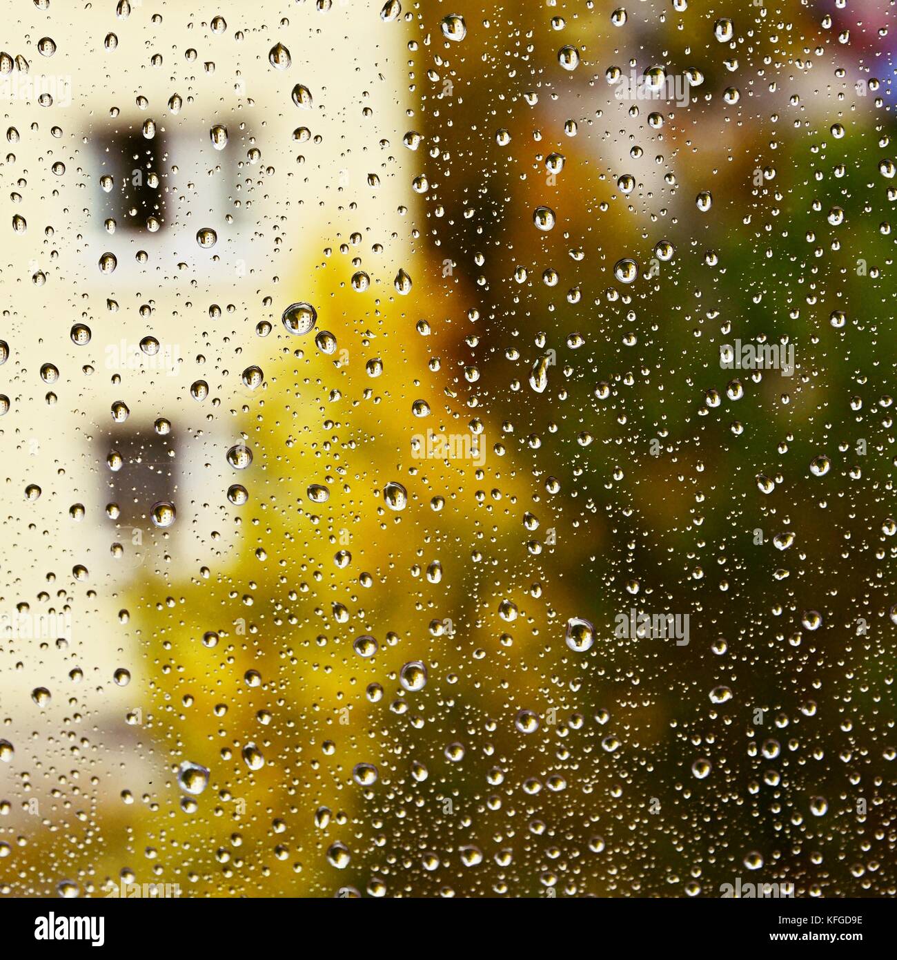 Rain. Autumn seasonal background with rain drops on the window Stock ...