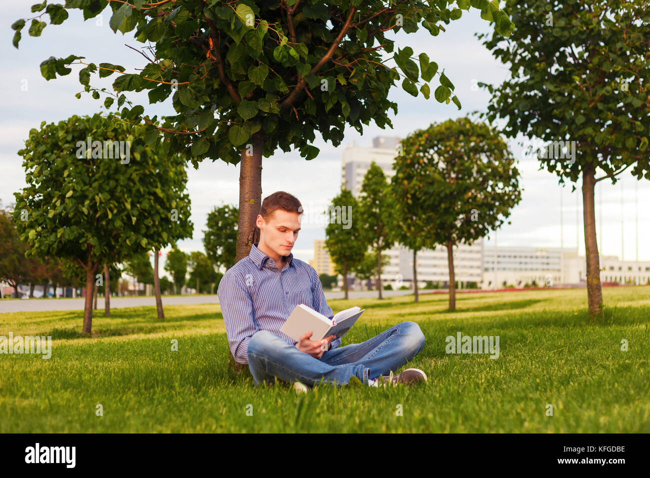 дуб «богатырь тавриды». деревья в парке. деревья в саду. скамейка под деревом. в парке под деревом.