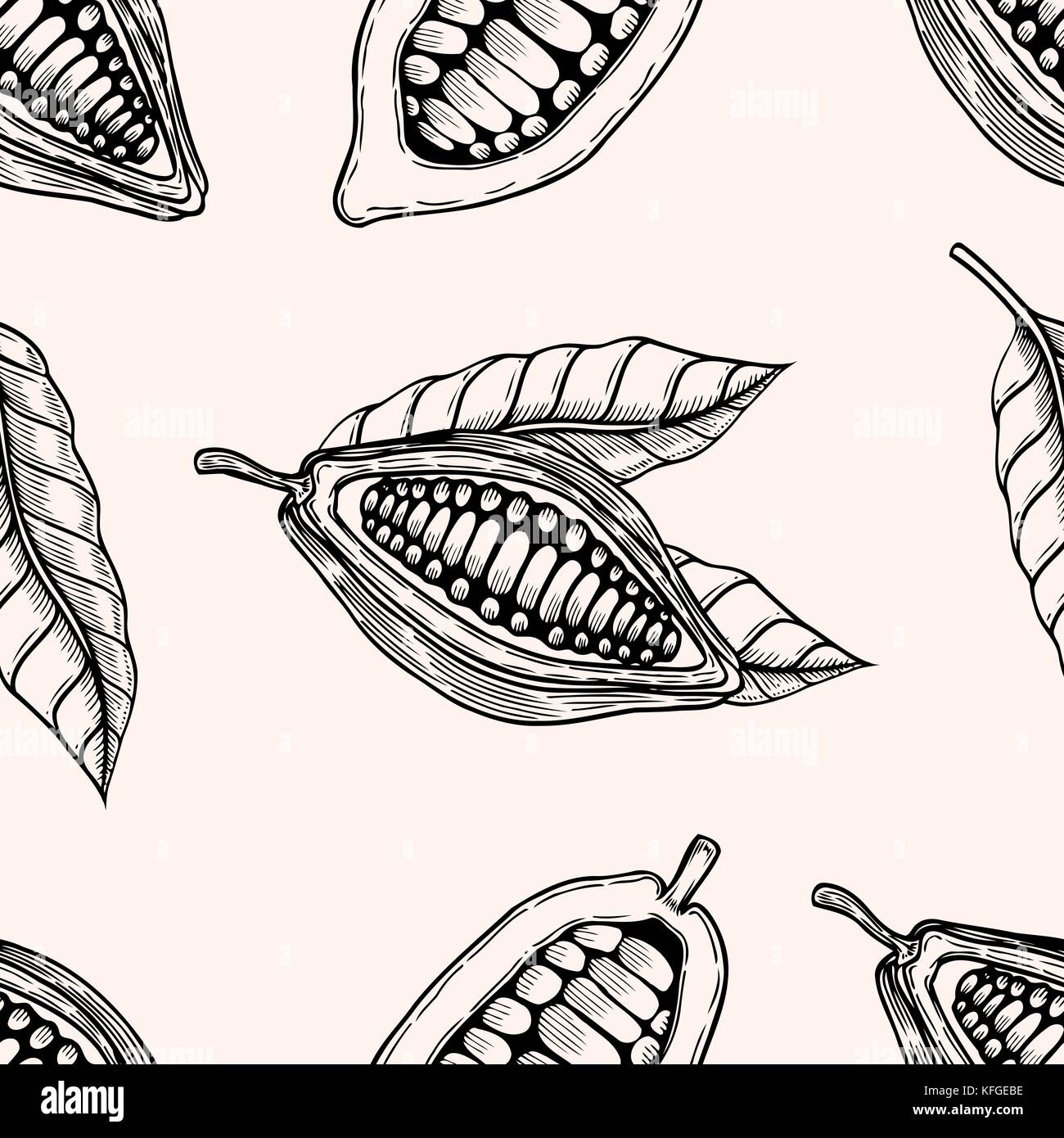 Seamless pattern with leaves and fruits of cocoa beans. Vintage black vector hand drawn engraving illustration. Isolated on white background. Stock Vector