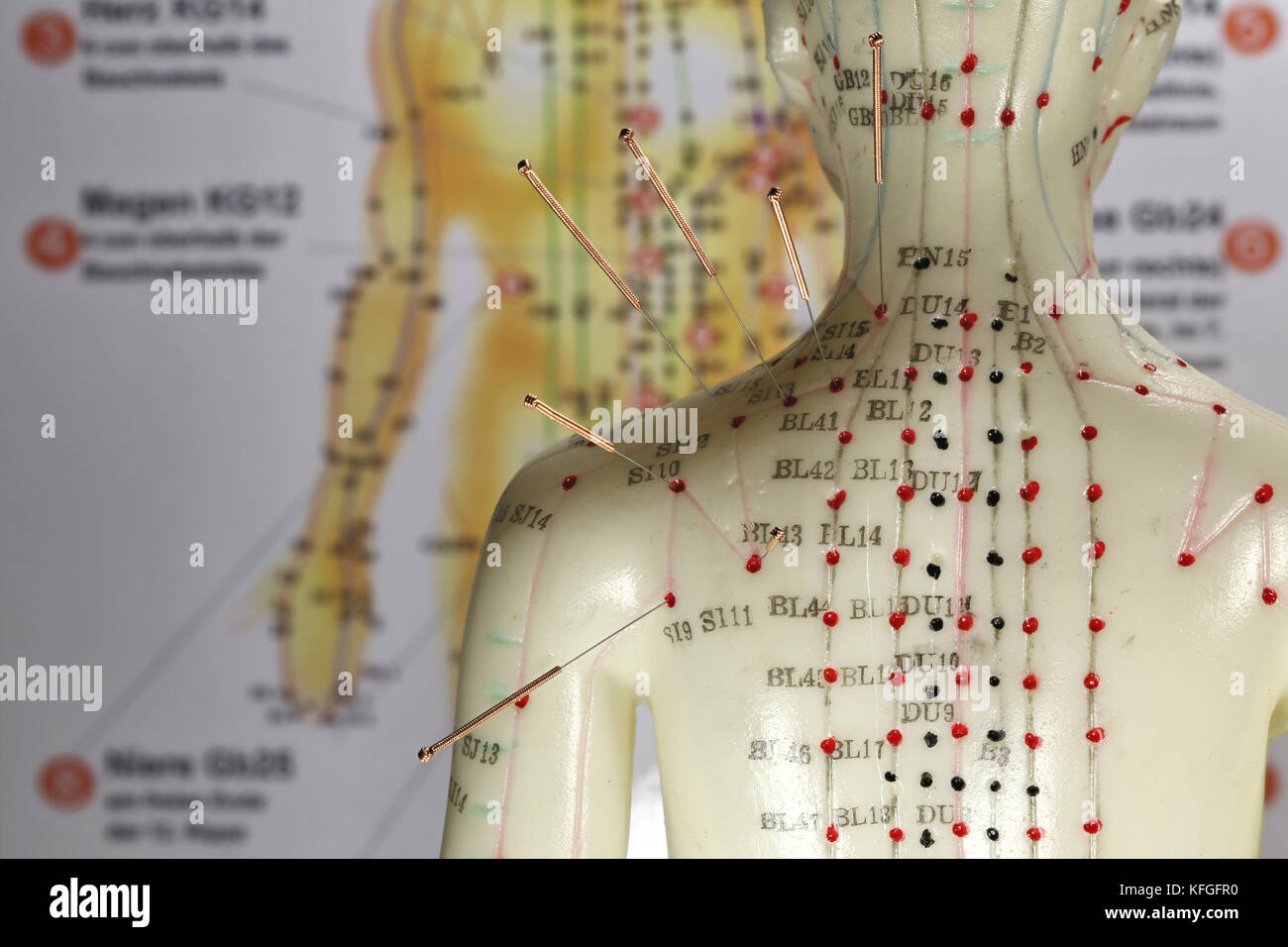 Acupuncture Doll Stock Photos & Acupuncture Doll Stock Images Alamy