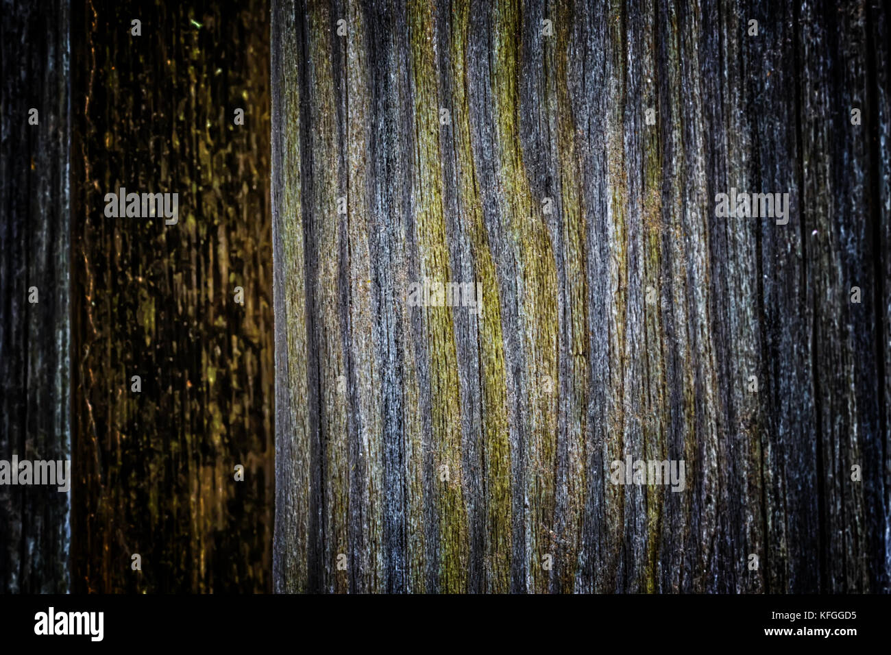 The old wood texture with natural patterns and cracks on the surface as