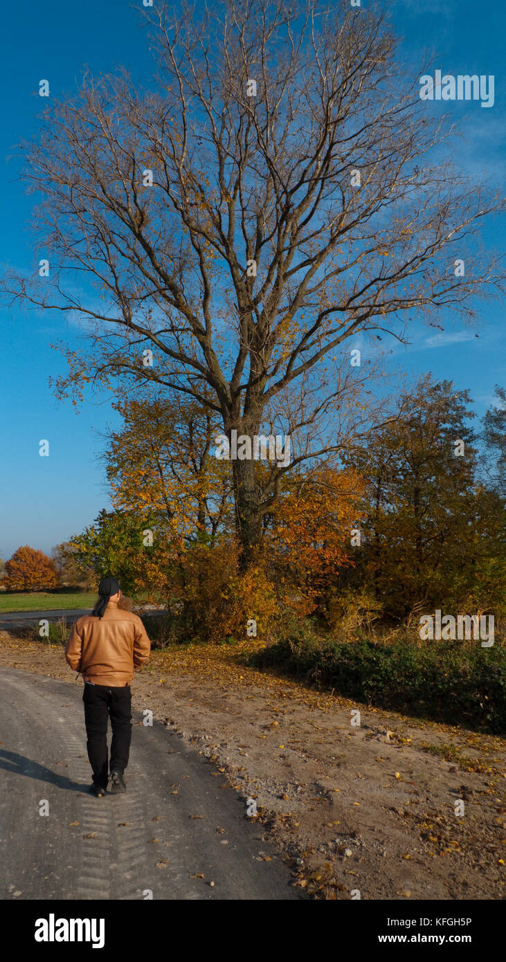 Wald spaziergang hi-res stock photography and images - Alamy