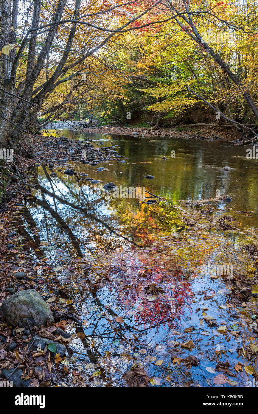 A colorful collage of Autumn leaves and branches reflected in the ripples of the West Branch of the Little River in Stowe, Vermont Stock Photo