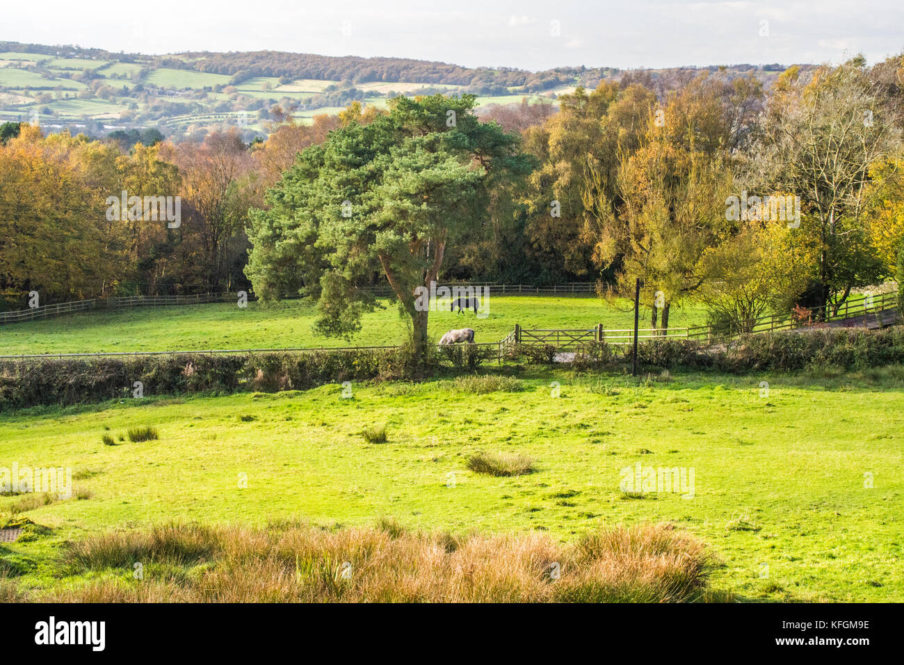 Rural scene in Biddulph, Staffs, England Stock Photo Alamy