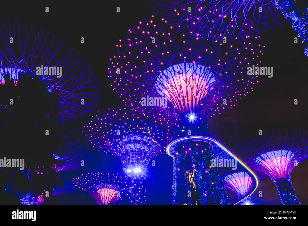 Supertrees at Gardens By The Bay, Singapore Stock Photo