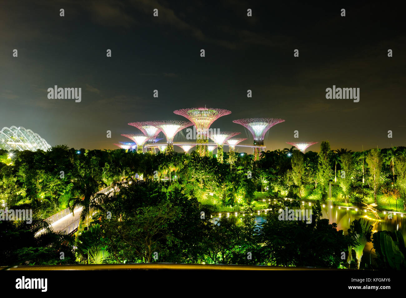 View of supertrees, Singapore Stock Photo