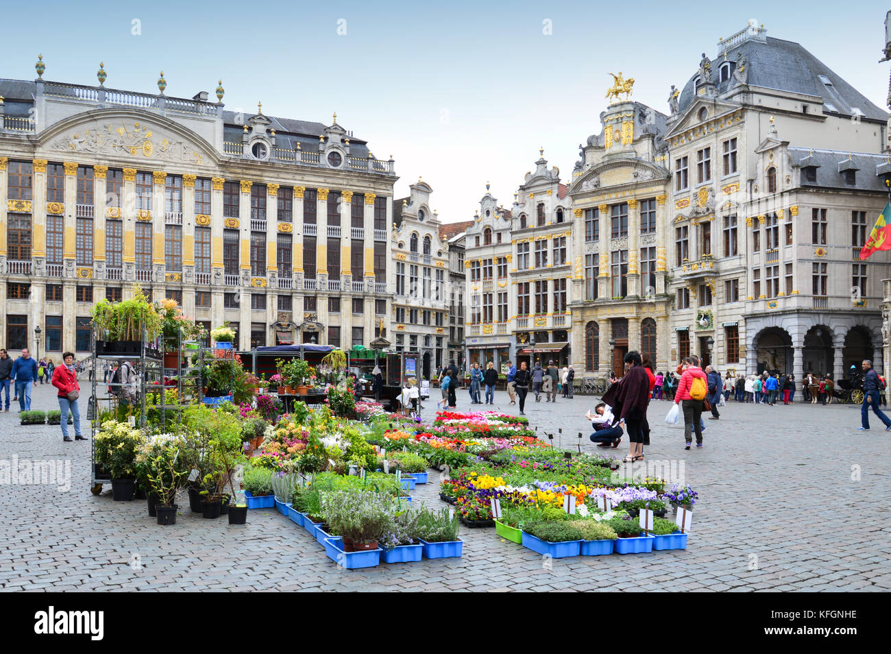 Flower and plant market at Grand Place in Brussels City, Belgium Stock
