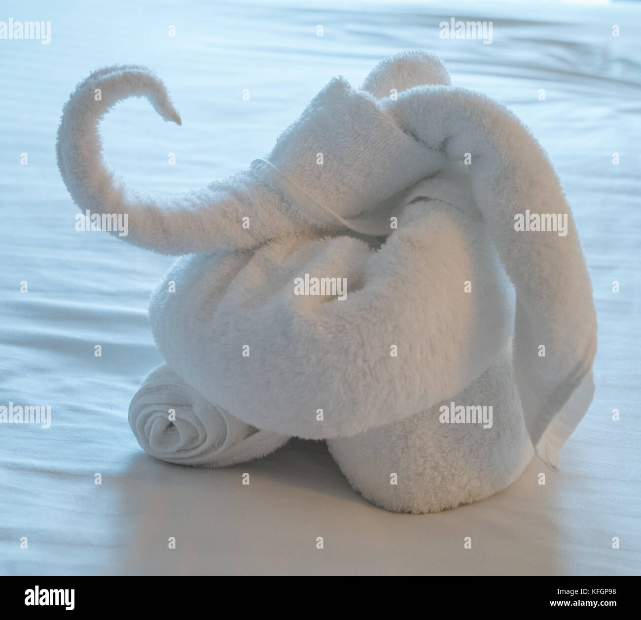 Towel animal at bed time Stock Photo