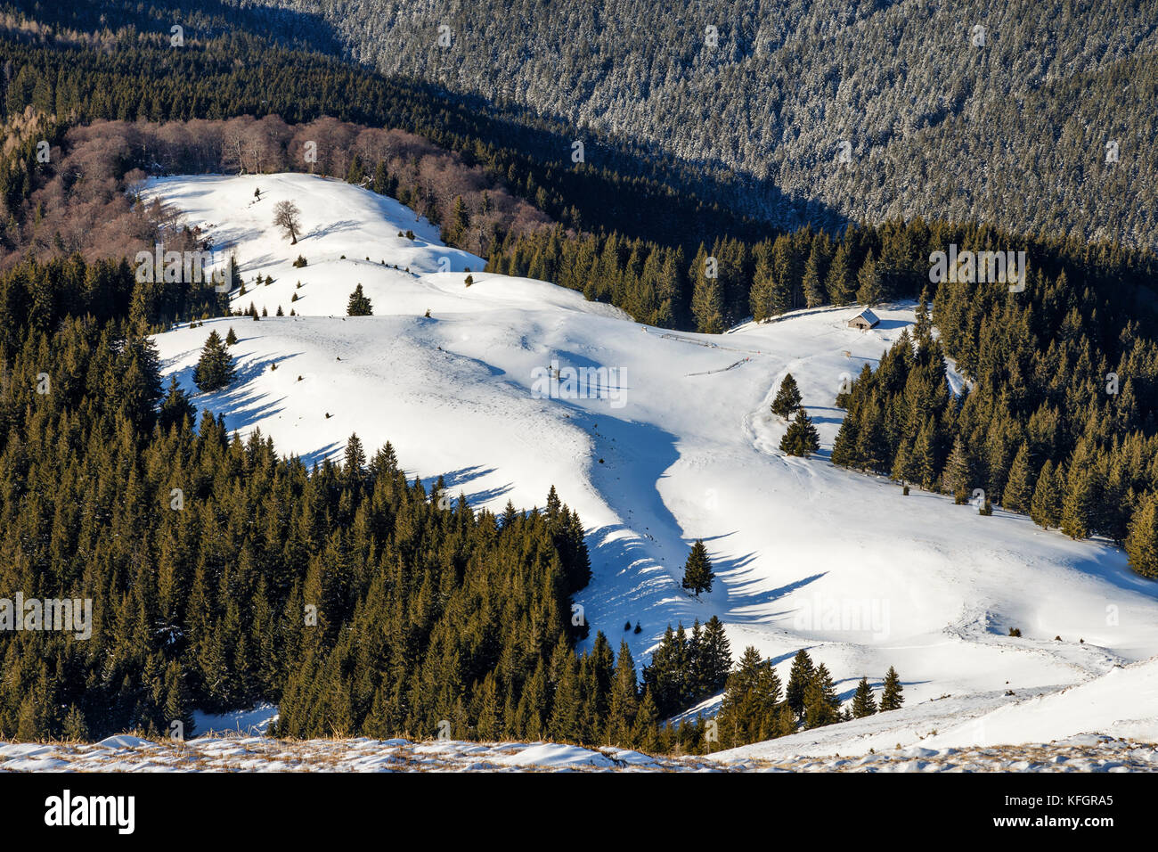 Aerial sun mountain forest ridge hi-res stock photography and images ...