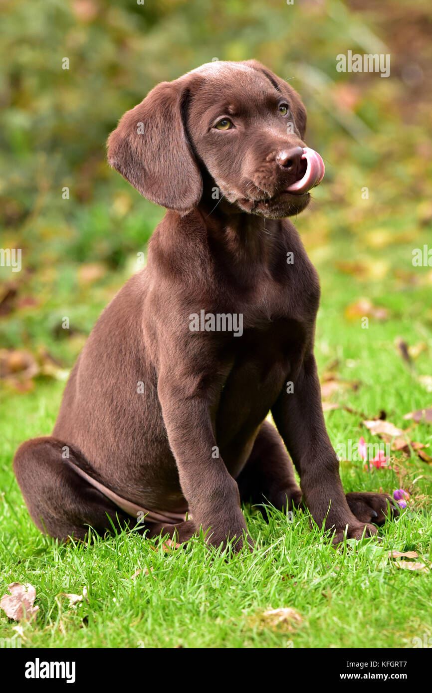 Spingador hi-res stock photography and images - Alamy