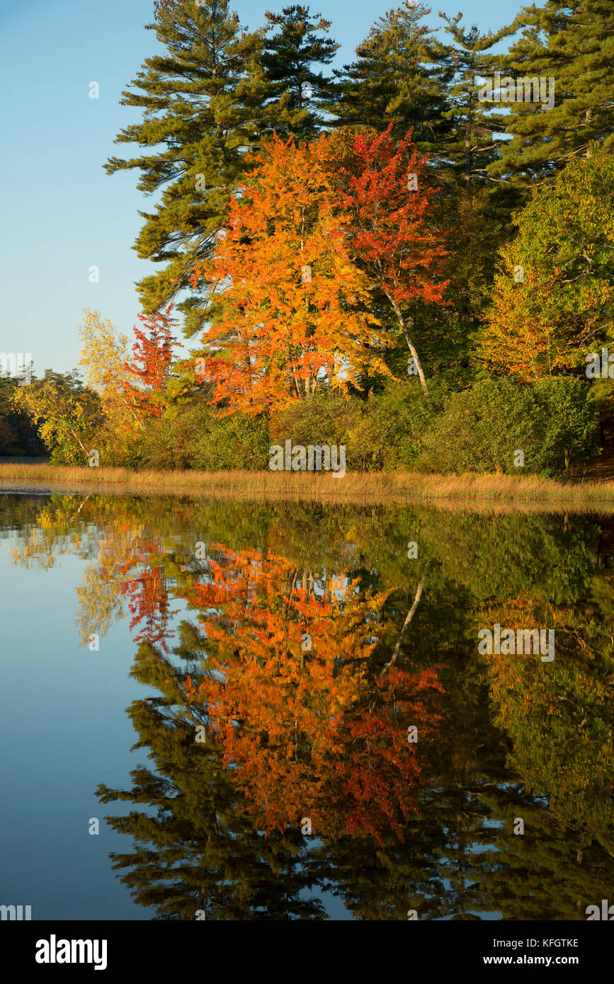 Kingston State Park: Your Gateway To New Hampshire's Natural Wonders