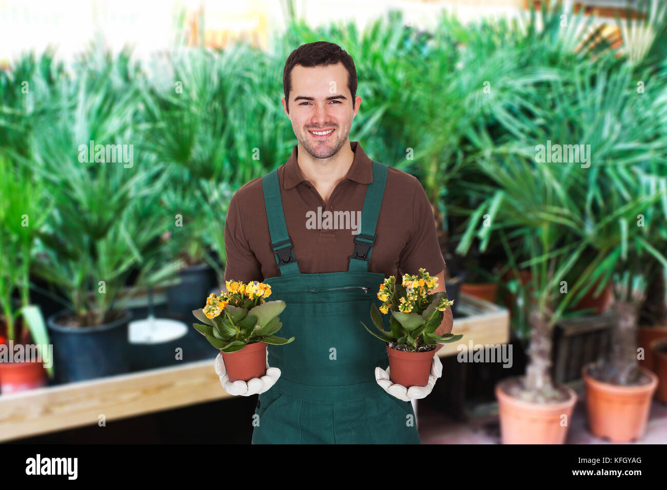 Portrait Of Young Male Gardener Carrying Two Flowerpots Stock Photo