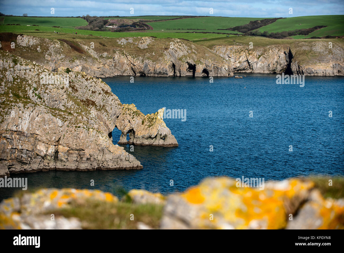 Stackpole Cliffs Spring Stackpole estate wales hi-res stock photography and images - Alamy