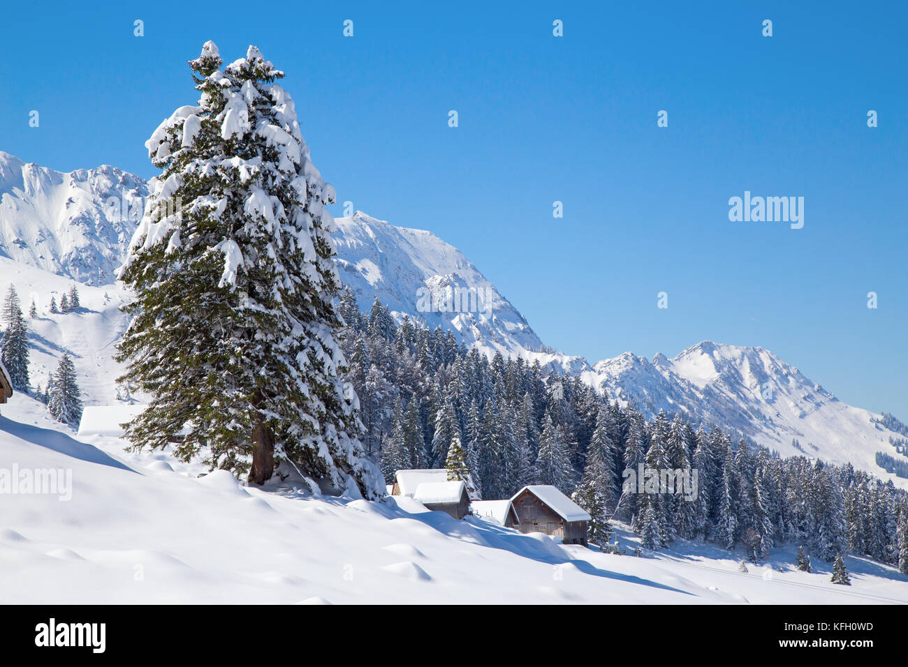 Winter in the swiss alps, Switzerland Stock Photo - Alamy