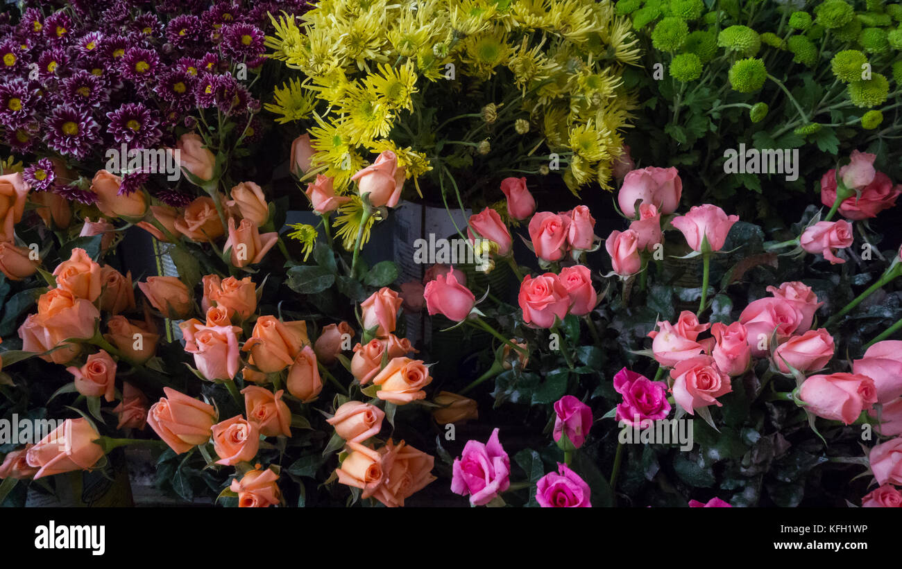 Pastel art flowers hi-res stock photography and images - Alamy