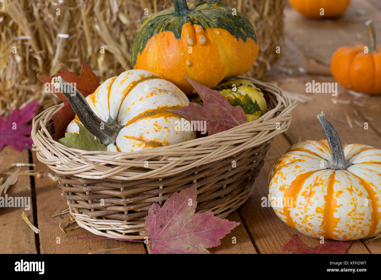 Colorful autumn gourds in a basket Stock Photo