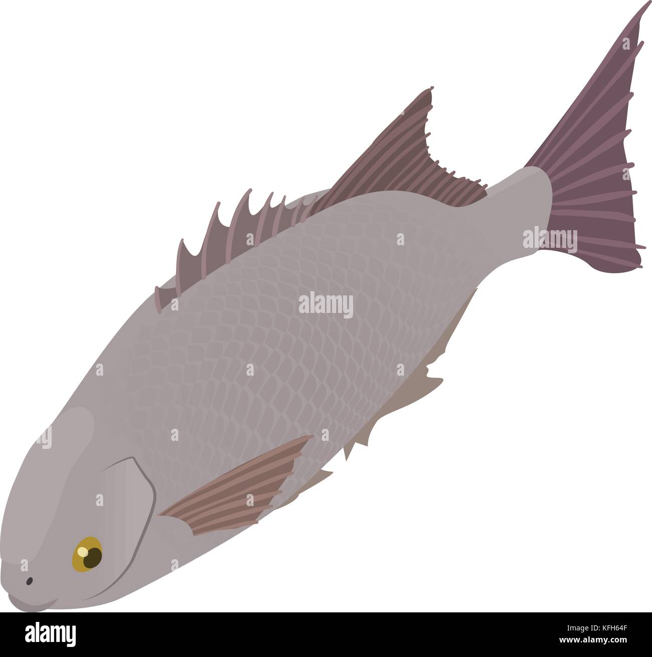 Ocean fish icon, isometric style Stock Vector Image & Art - Alamy