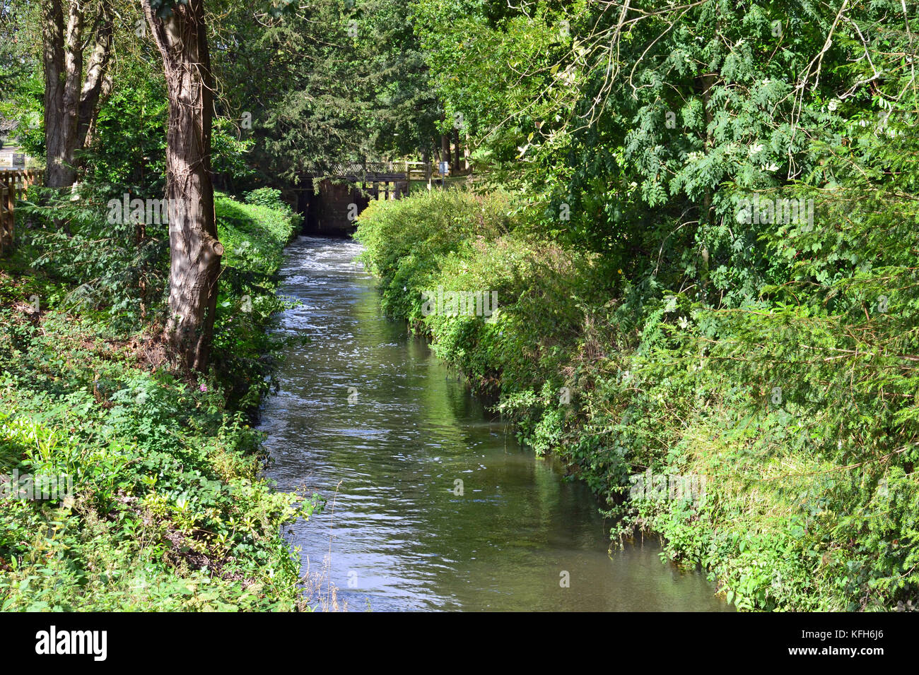 View of the garden and river at Stoneleigh Abbey, Stoneleigh