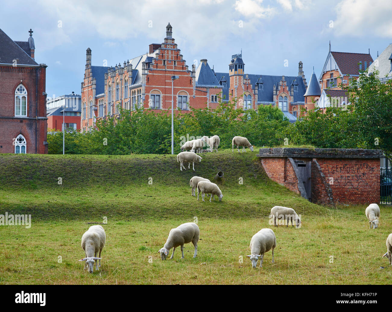 Ecologic lawn maintenance in Ghent Stock Photo