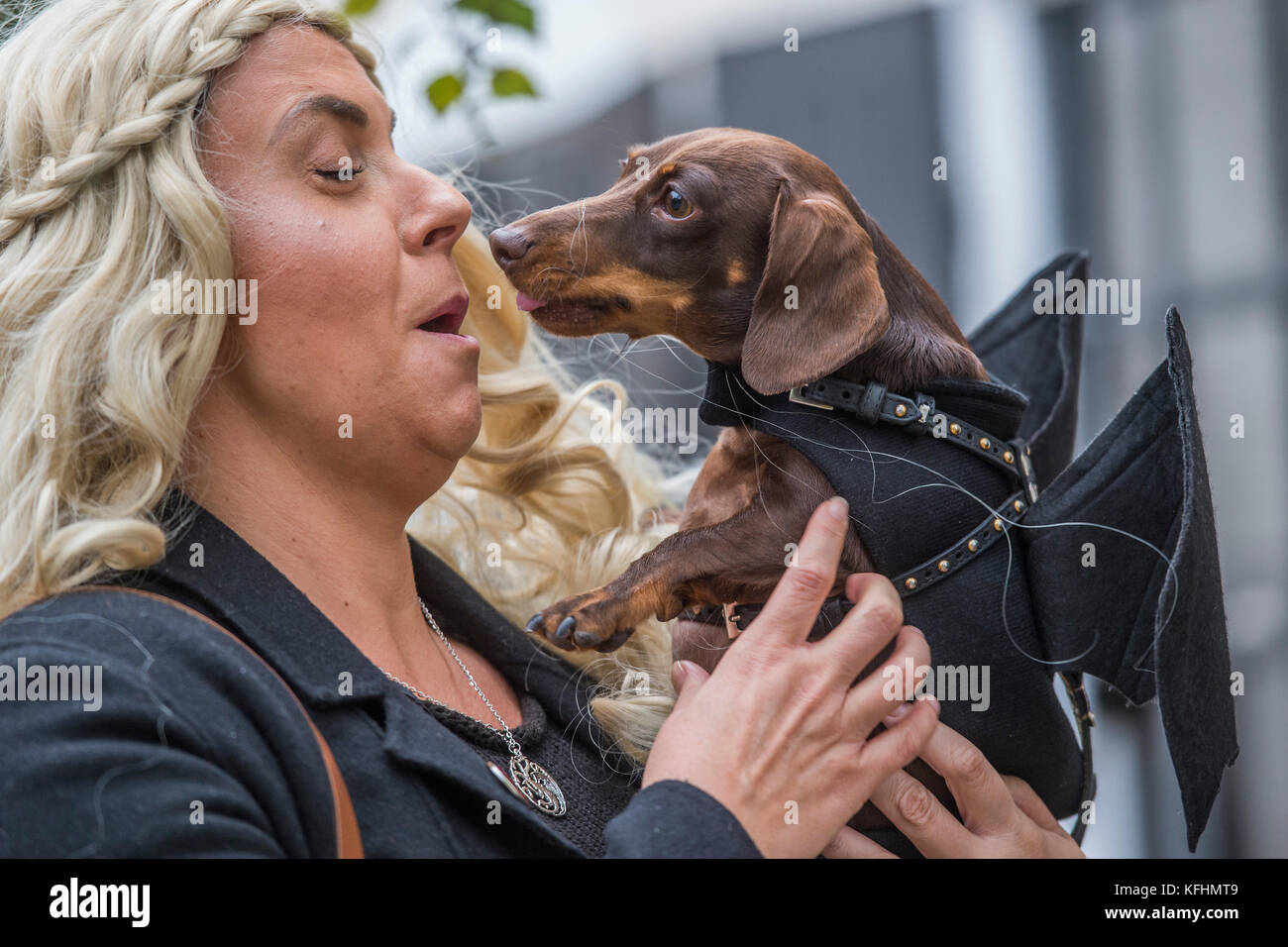 Hampstead Heath, London, UK. 29th Oct, 2017. Cyril the Dachshund - A charity Halloween dog walk and Fancy Dress Show organised by All Dogs Matter at the Spaniards Inn, Hampstead. London 29 Oct 2017. Credit: Guy Bell/Alamy Live News Stock Photo